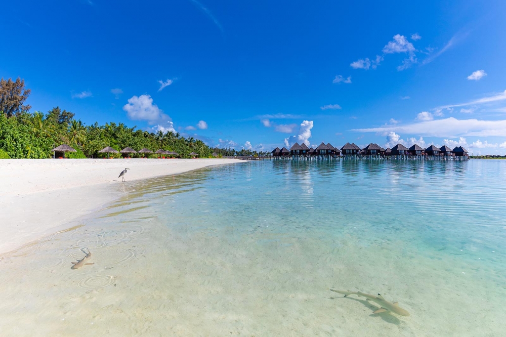 OLHUVELI BEACH RESORT & SPA MALDIVES