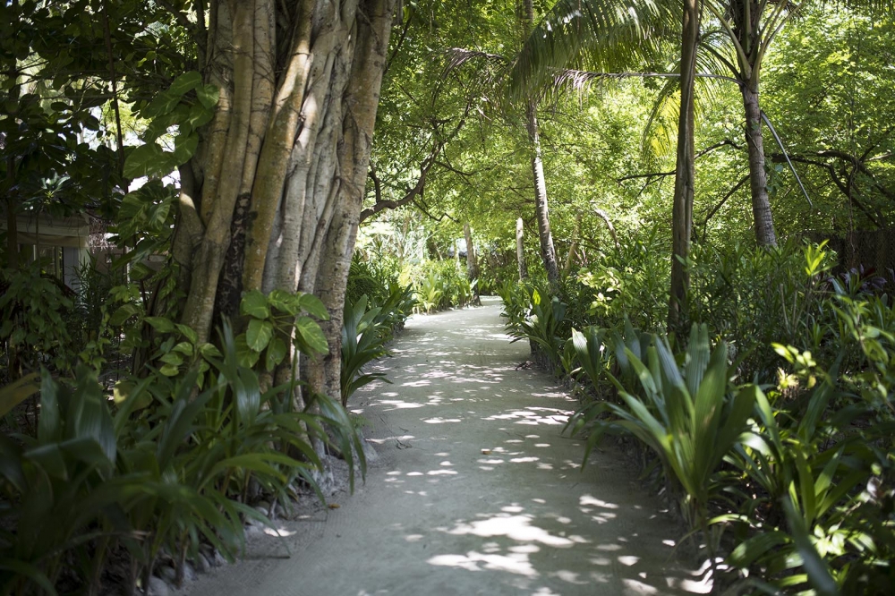 BIYAADHOO ISLAND RESORT 